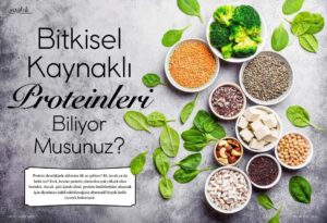 Bitkisel kaynaklı proteinler nelerdir